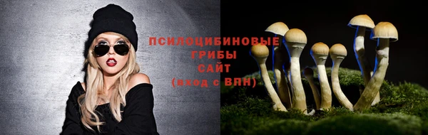 ПСИЛОЦИБИНОВЫЕ ГРИБЫ Алексеевка