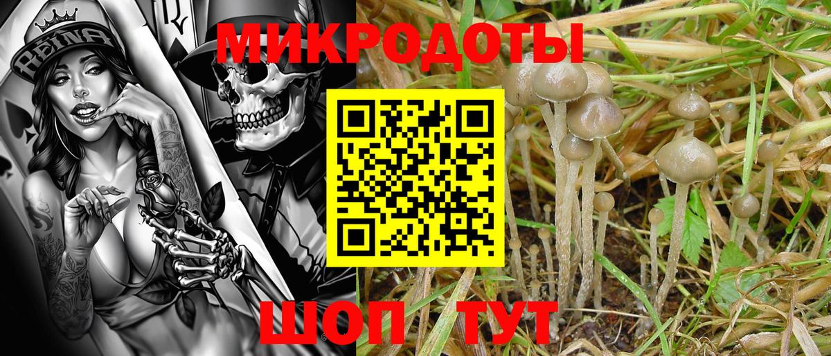 Ленинск-Кузнецкий  Галлюциногенные грибы прущие грибы  Псилоцибиновые грибы ЛСД  Вход с VPN 