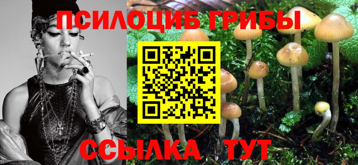 Псилоцибиновые грибы Cubensis Ленинск-Кузнецкий